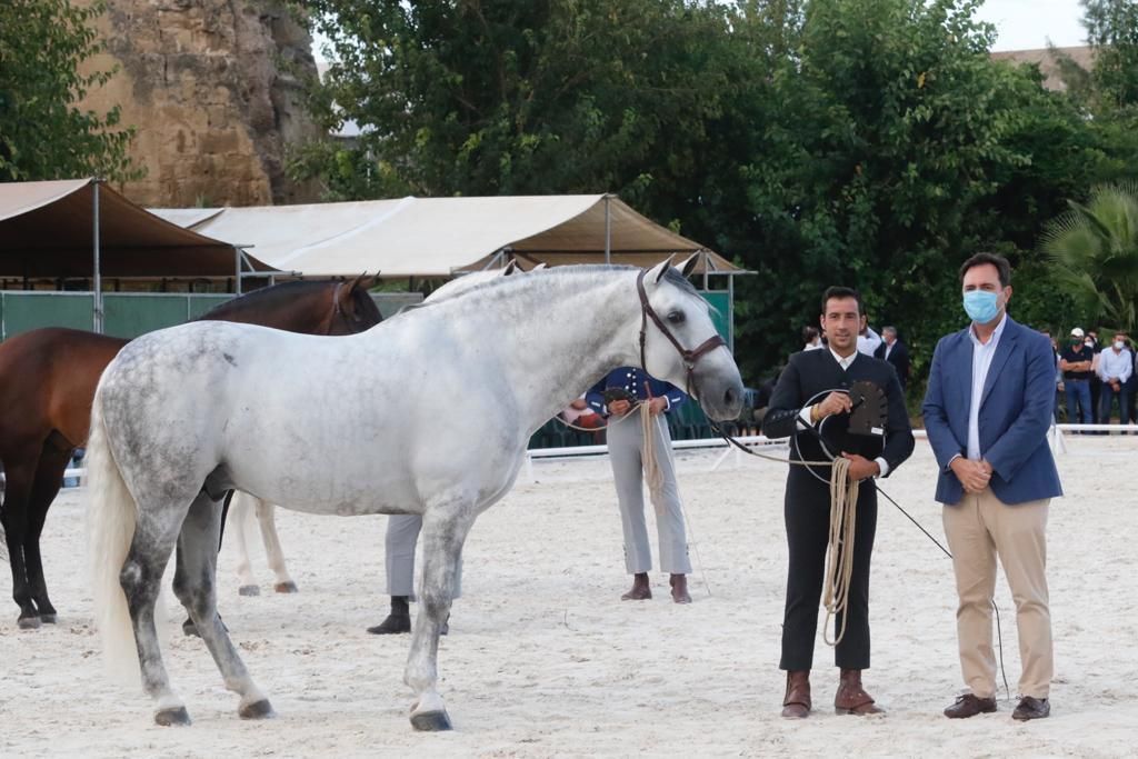 Cabalcor desafía a la lluvia