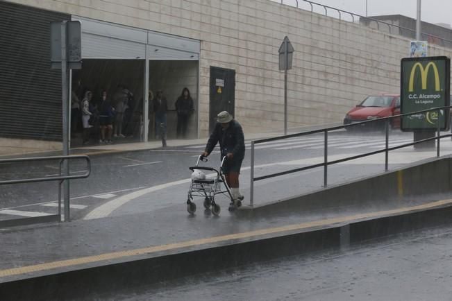 Delia Padrón lluvias , temporal , barrancos ...