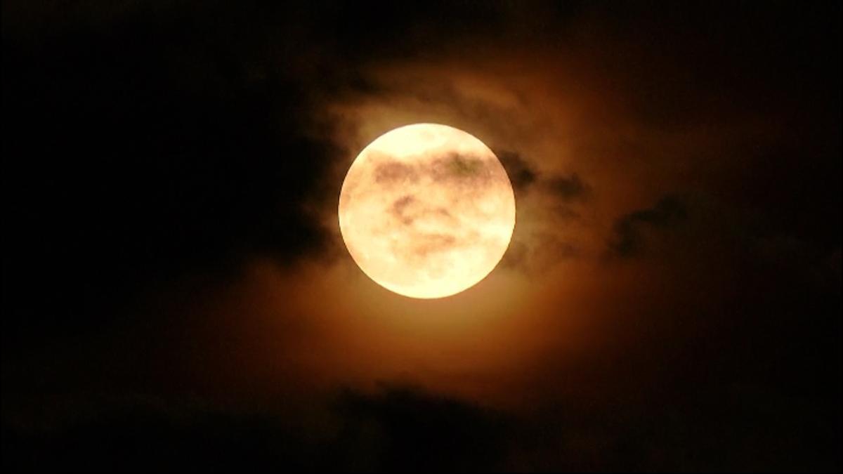 LUNA DE CASTOR2