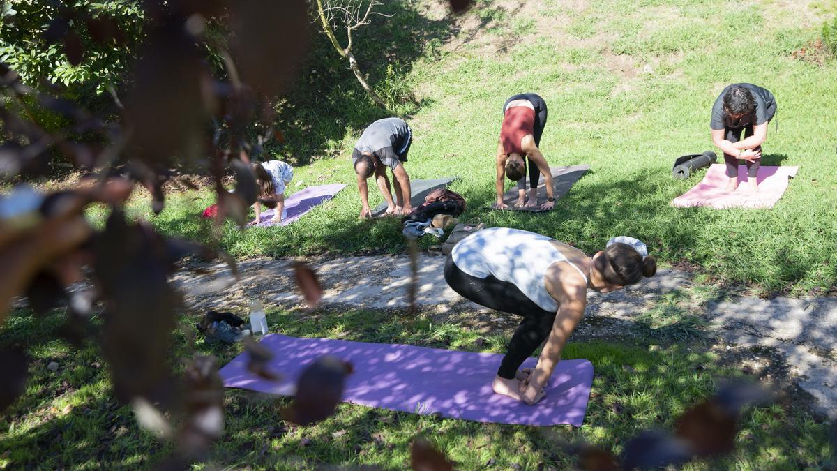 Una clase de yoga en el &quot;Bosque comestible&quot; en octubre de 2022