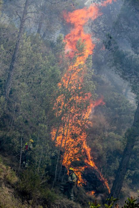 Los bomberos luchan contra el fuego en Guadalest