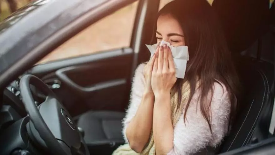 Las claves de la DGT para conducir si tienes alergia