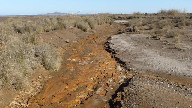 La Región busca resolver su vacío legal sobre metales pesados