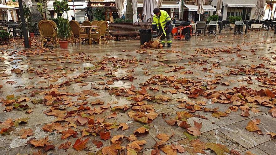 Un operario municipal limpiando hojas con una escoba.