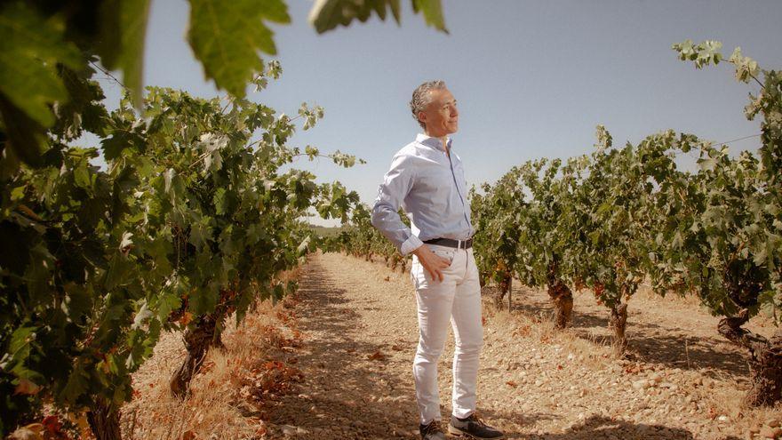 Miguel Ángel Gayubo, presidente de Rutas del Vino, posa en uno de los viñedos de Aranda de Duero.