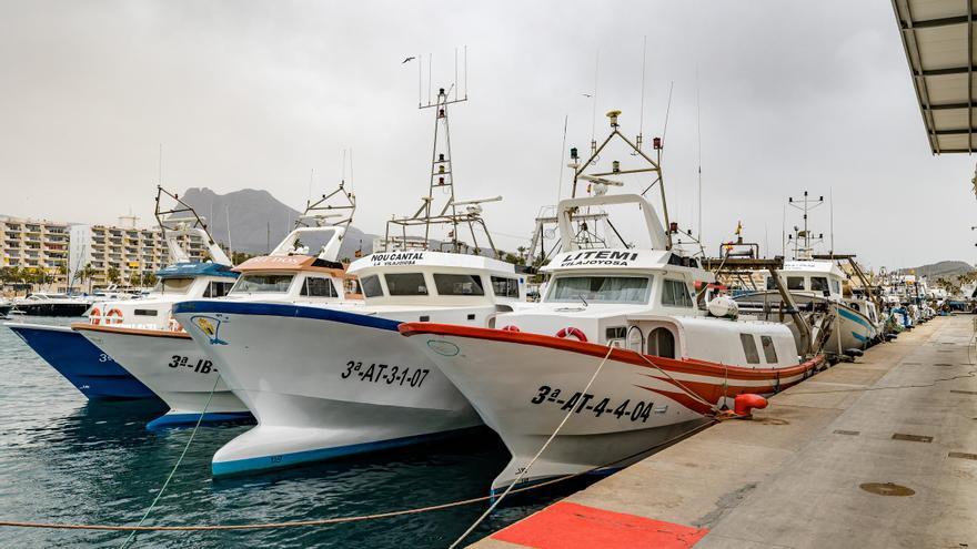 El senador del PP Almodóbar reclama al Gobierno una pesca equilibrada con el turismo en Alicante