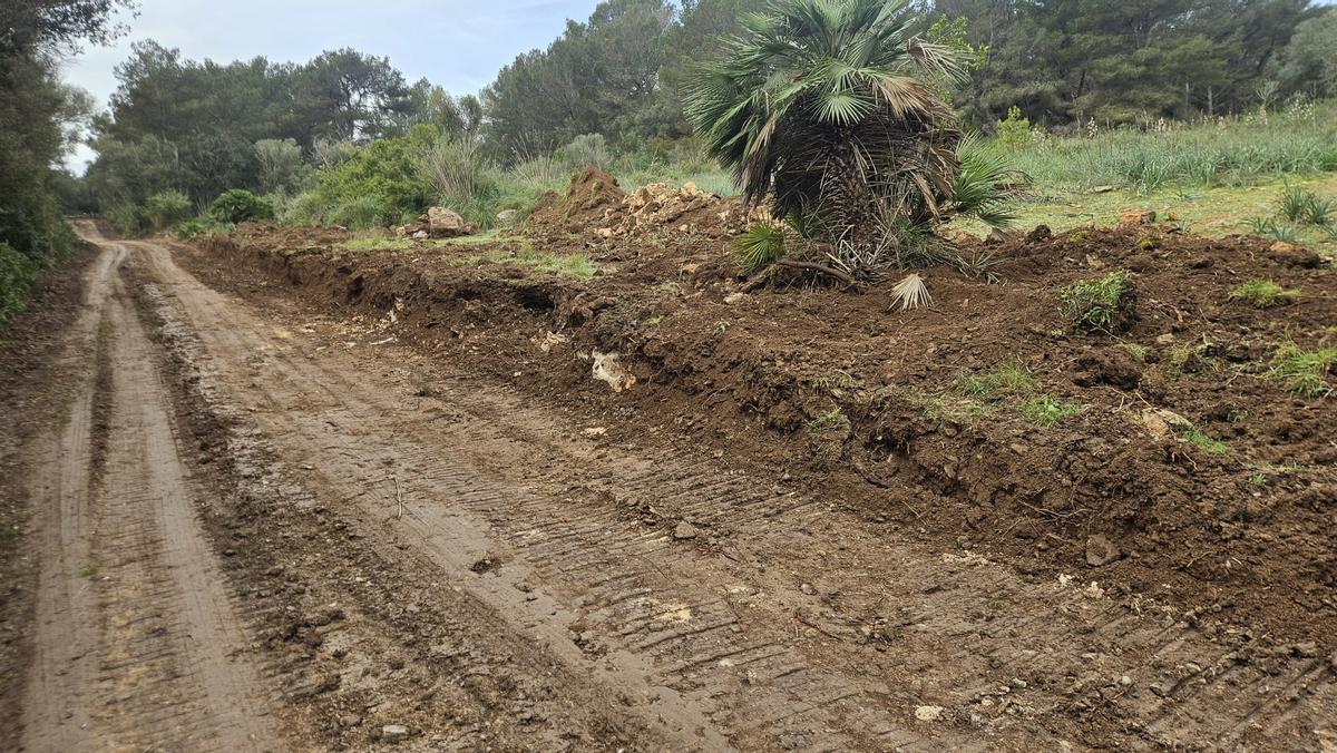 En la imagen se aprecian los movimientos de tierra que modifican el entorno del camino.