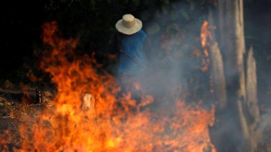 ¿Por qué se quema el Amazonas?