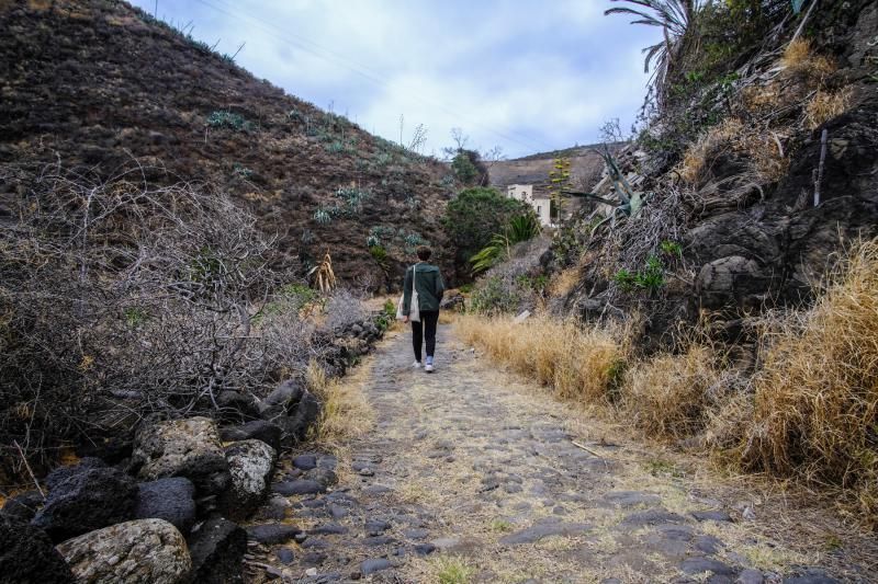 27-07-18. LAS PALMAS DE GRAN CANARIA. CAMINO REAL A GÁLDAR EN TENOYA. FOTO: JOSÉ CARLOS GUERRA.  | 27/07/2018 | Fotógrafo: José Carlos Guerra