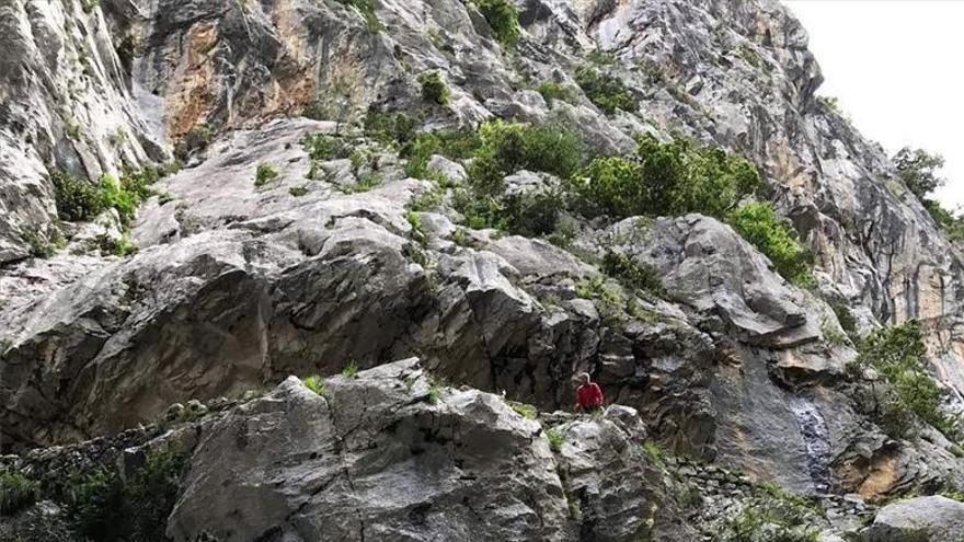 Muere un senderista de Hinojosa en un accidente en los Picos de Europa