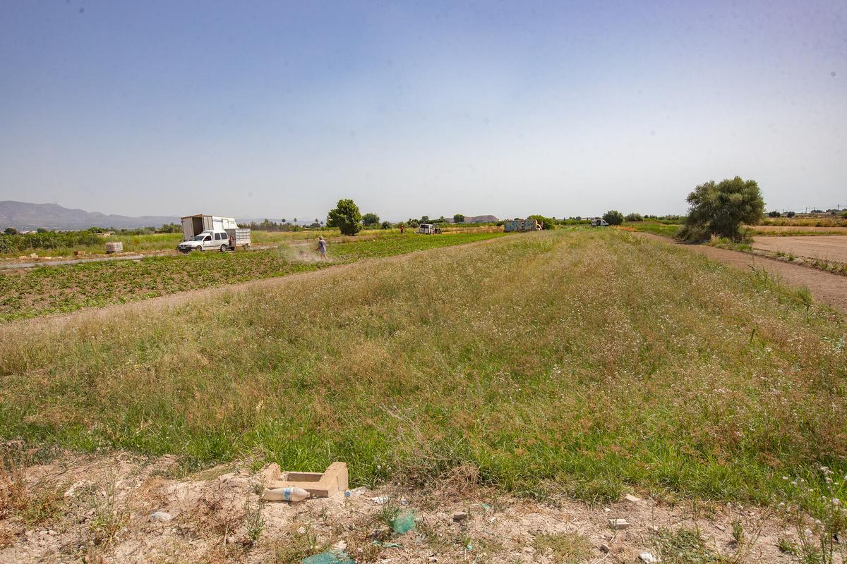 La comarca requiere aglutinar los pequeños terrenos cultivables para asegurar la rentabilidad