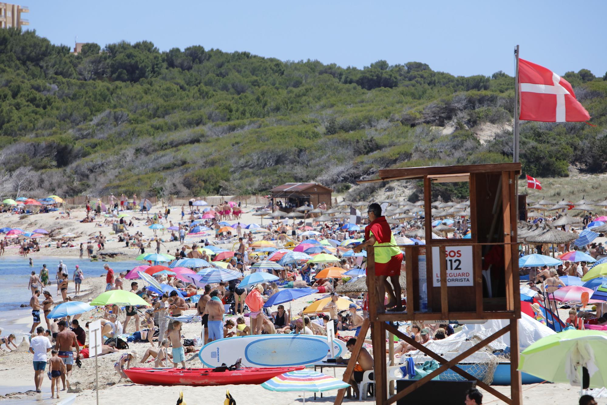 Wie im Hochsommer. So vergnügen sich schon jetzt die Urlauber an der Cala Agulla bei Cala Ratjada