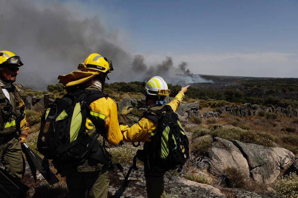 Incendio Pino del Oro y Castro de Alcañices