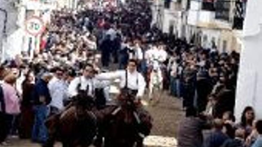 Más de 140 caballistas corren en Arroyo en honor a la Virgen