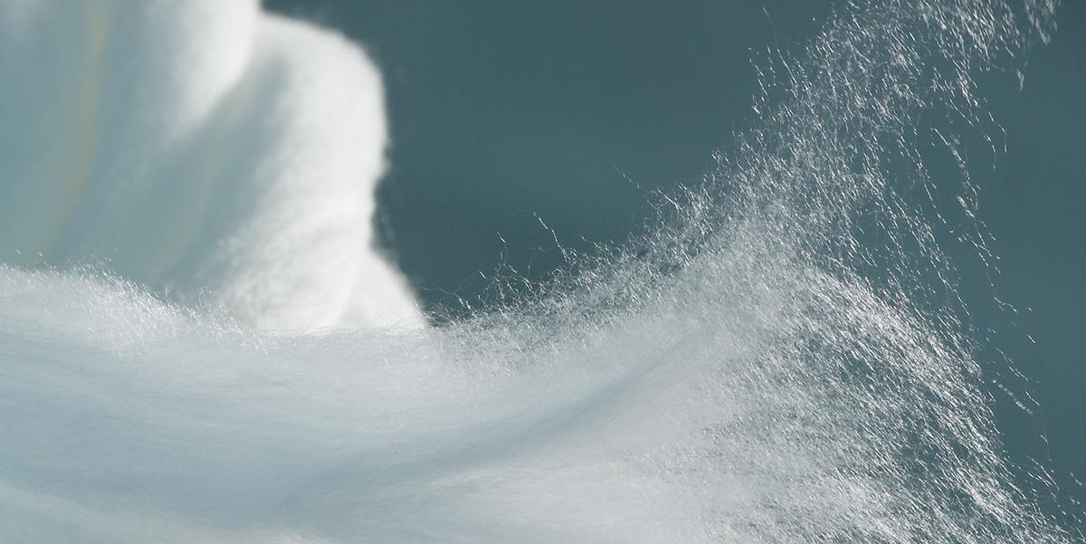 El lyocell es una fibra de origen biológica que a veces sustituye al poliéster