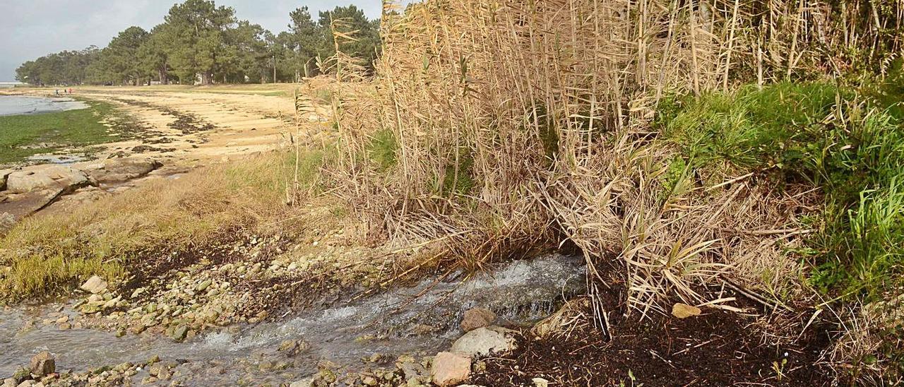 El alcantarillado de As Patiñas desborda cada vez que se registran lluvias intensas.  | // NOÉ PARGA