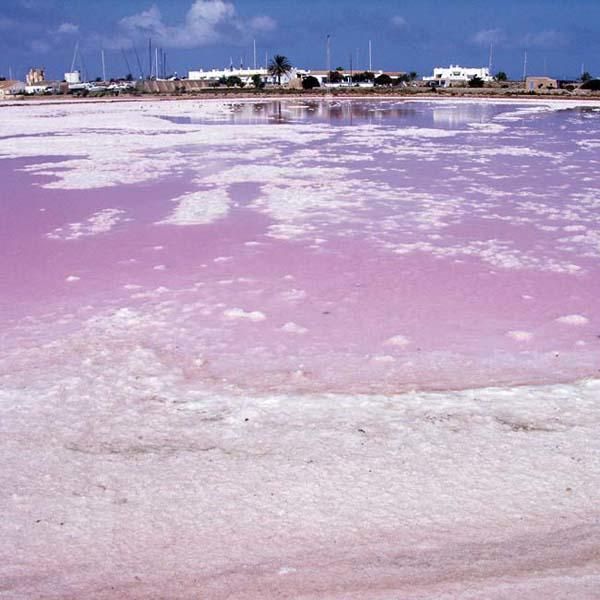 Ses Salines, Formentera.