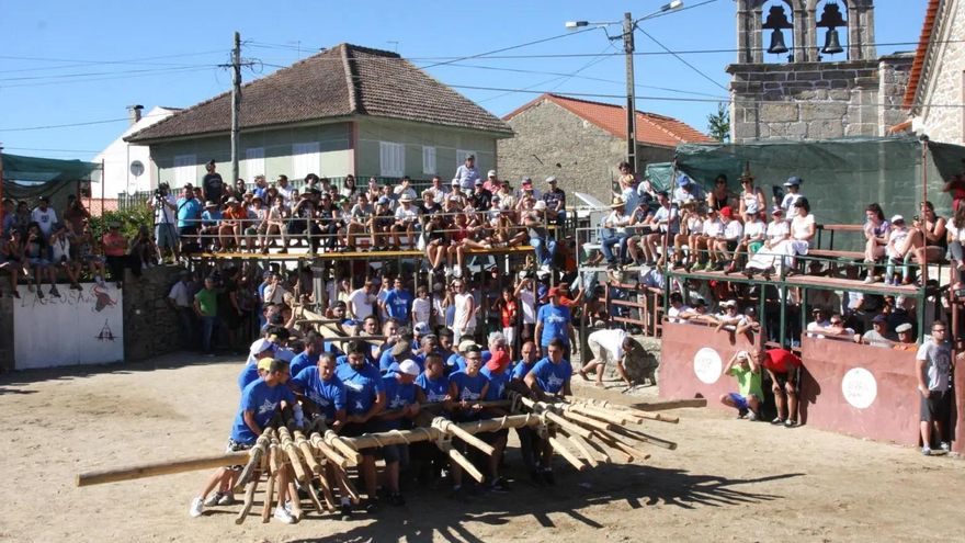 Capeas del forcón: tradición sin sangre
