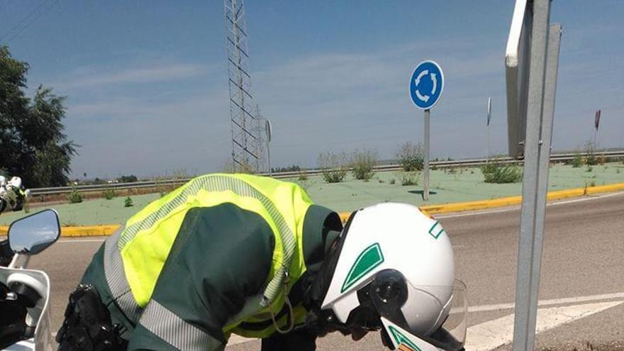 &#039;Benemérita&#039;, la galga rescatada por la Guardia Civil