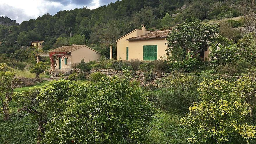 El GOB alquila su finca heredada y prevé un campo de variedades de cítricos de Sóller - Vimarsana News
