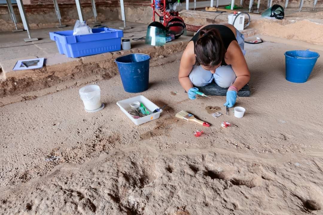 Fotogalería | Hallazgo descomunal en Mérida: Excavaciones en la Casa del Mitreo