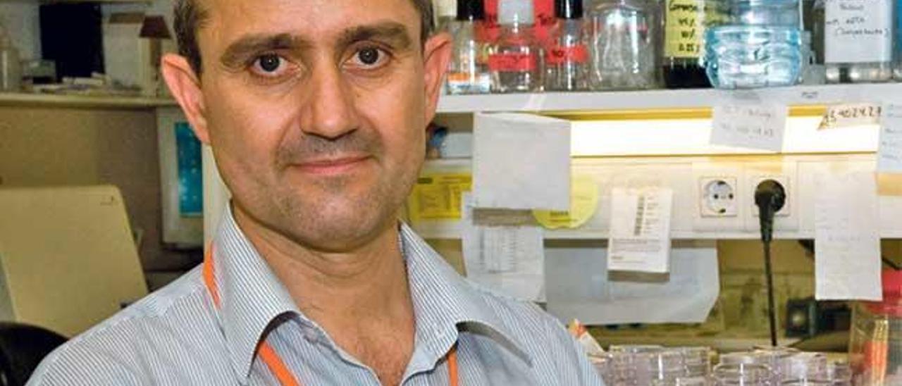 Gabriel Capellà, jefe de investigación médica de la Generalitat, mallorquín genético.