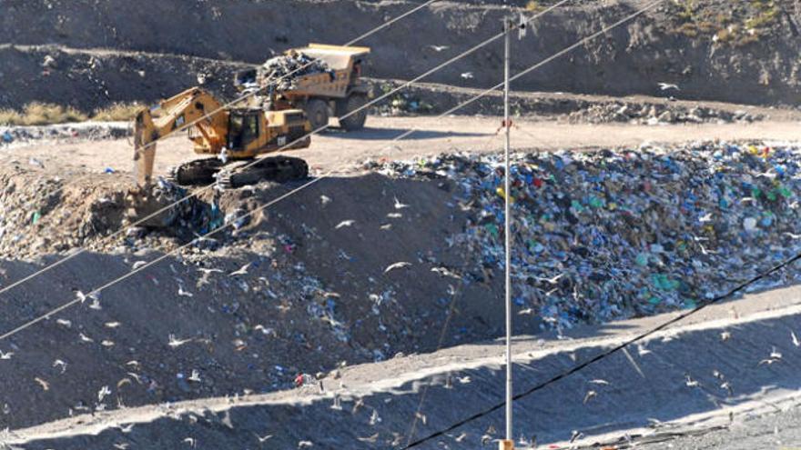 Un tractor remueve la basura, el pasado viernes, en el vaso intermedio de Salto del Negro. | santi blanco