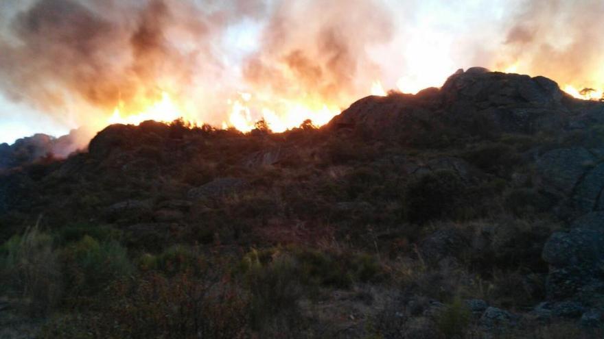 Llamas en el incendio de Ricobayo, por encima del embarcadero