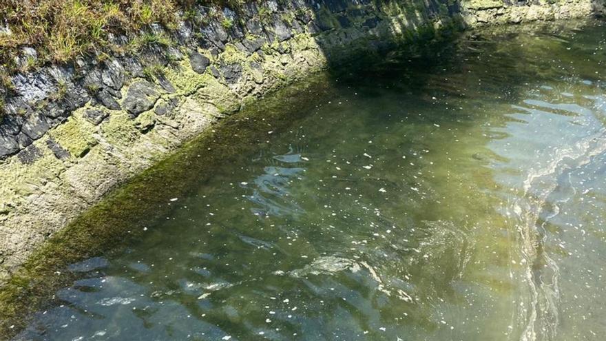 Vetidos de fecales en el río Orxas.   | // FDV