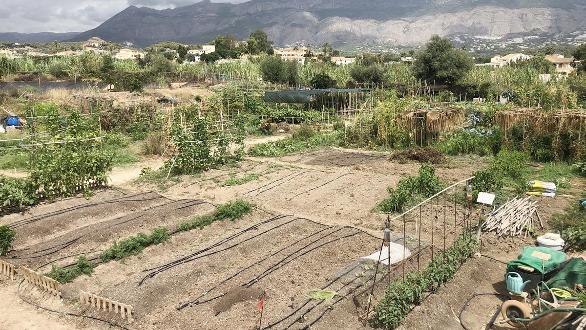 Altea reanuda la formación en agricultura ecológica para huertos urbanos