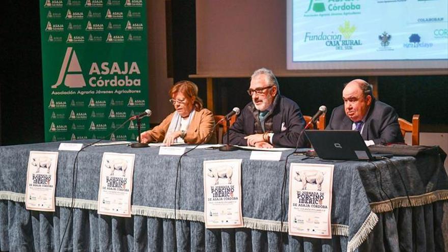 Productores admiten que el ibérico no puede crecer por el límite de la dehesa