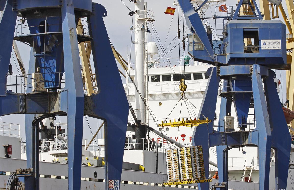 La Terminal Hortofrutícola dispone de un muelle de 405 metros de longitud y 11,25 metros de calado.