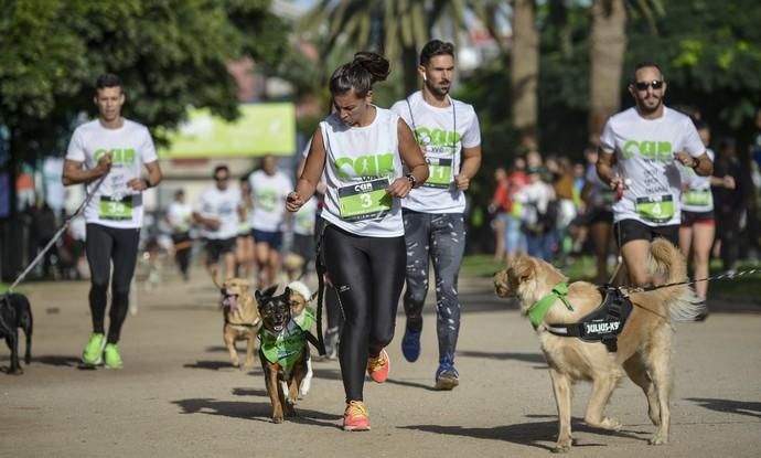 16/12/2018 LAS PALMAS DE GRAN CANARIA. Carrera ...