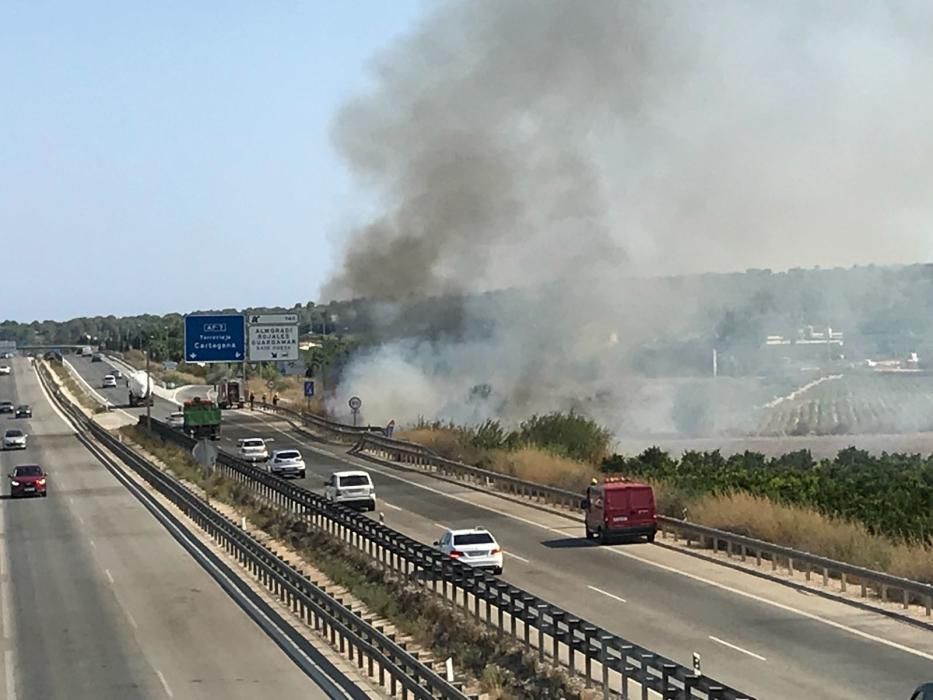 Los bomberos extinguen un incendio de matorral junto a la AP-7