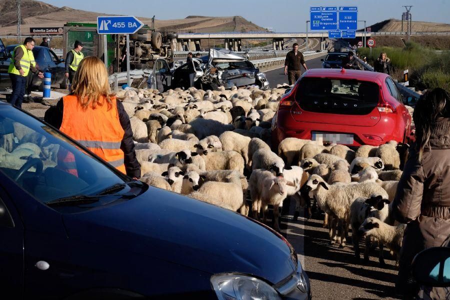 Accidente en la A-11