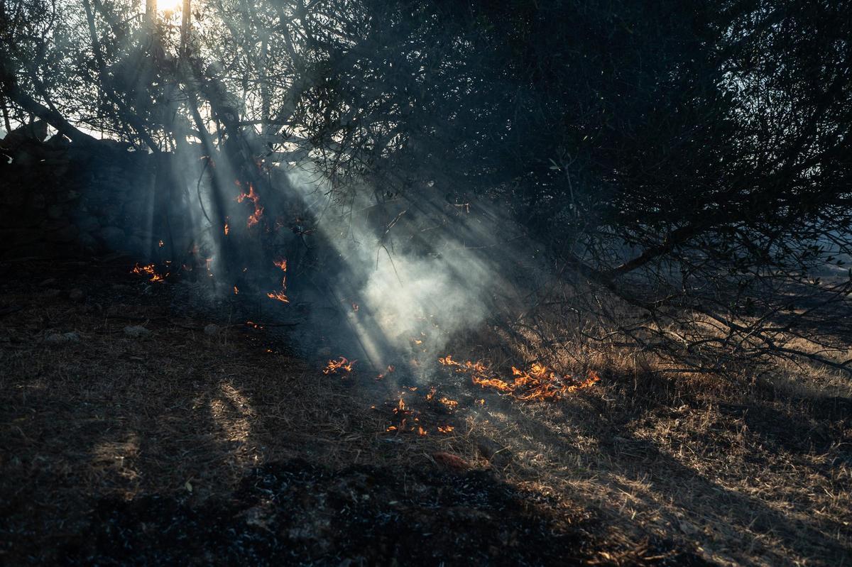 Fotogalería | Las imágenes del incendio de Las Viñas, en Arroyo de la Luz