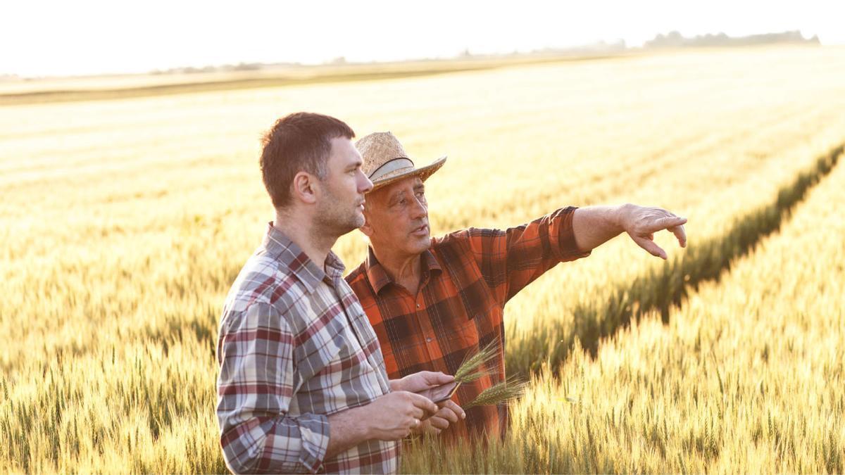 La agricultura y ganadería son actividades clave en la economía zamorana.