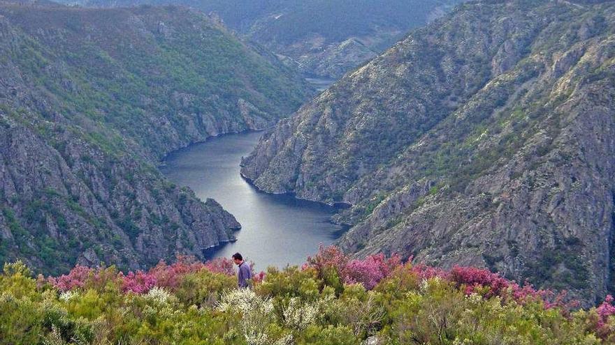 Vista de los cañones del río Sil, espacio de la Red Natura.