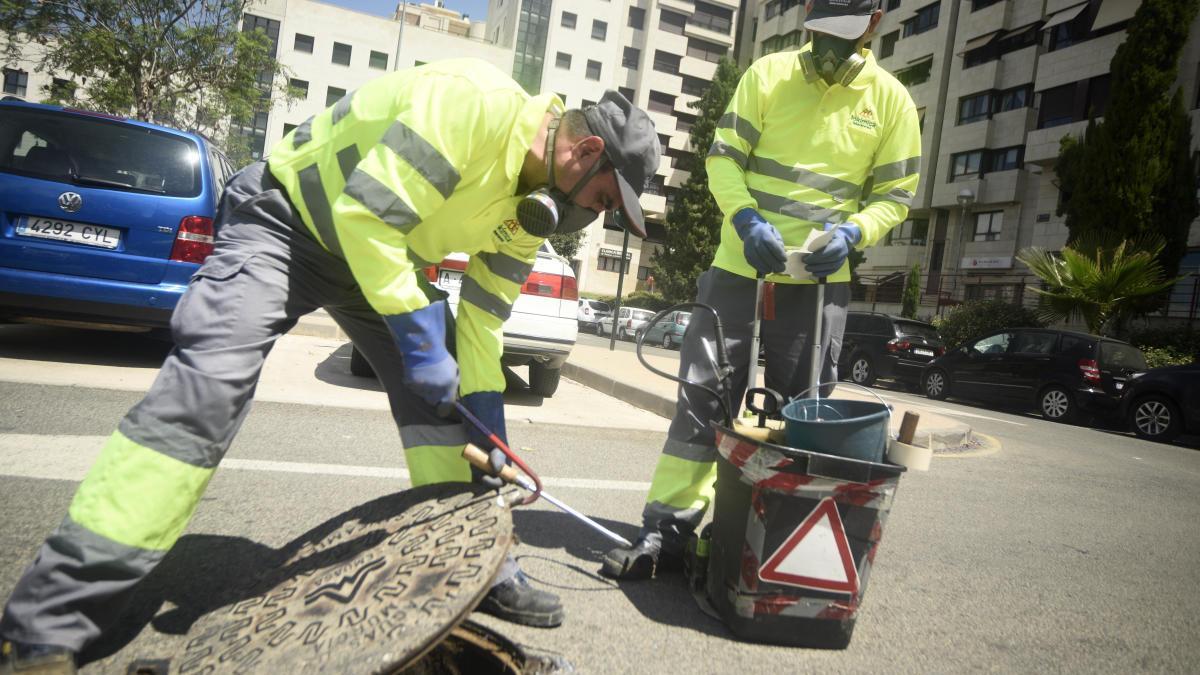 Los técnicos de Salud hacen seguimiento a una gran parte de las 49.000 tapas de alcantarillado de Murcia.