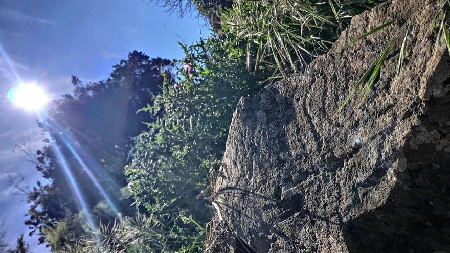 Uno de los grabados rupestres hallados en Llano Negro, en La Palma.