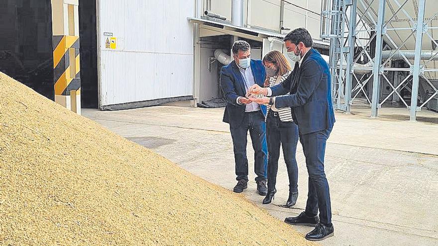 Visita del consejero de Agricultura a una cooperativa.