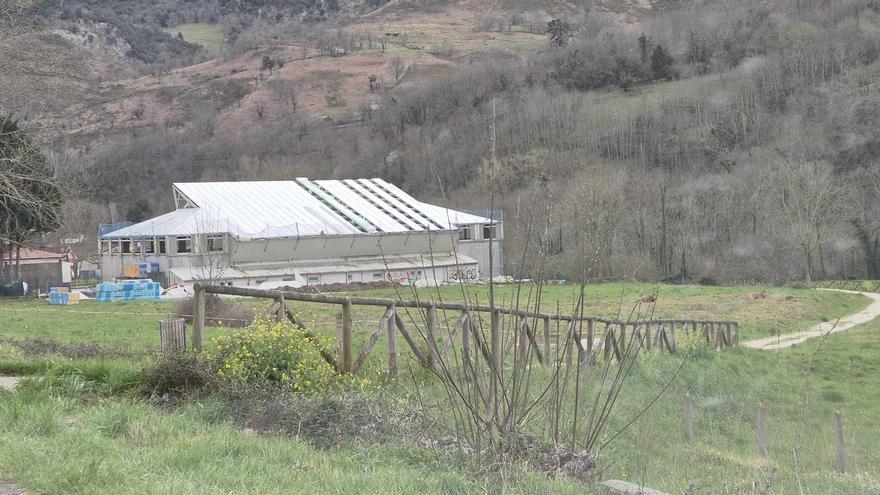 La obra de reparación de la cubierta del polideportivo de Arenas de Cabrales avanza sin descanso
