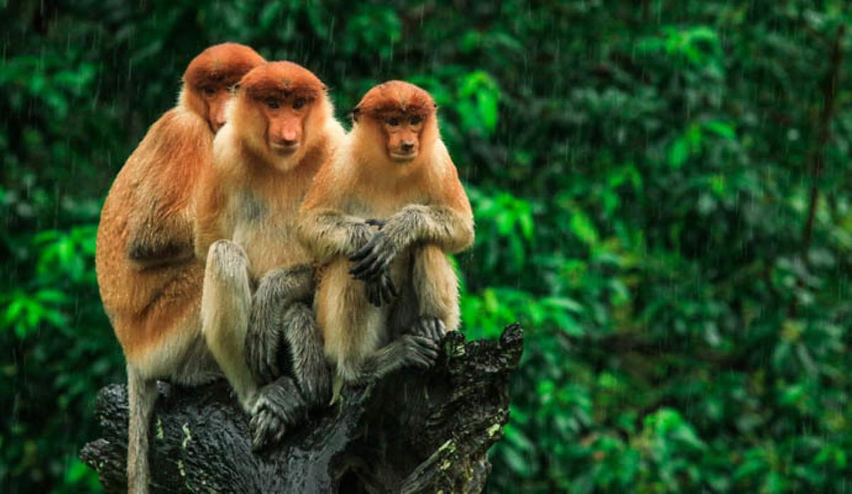 Destinos para disfrutar de un verano de aventura