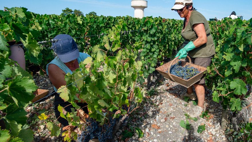 El sector aeronáutico, el vino y el champán, los grandes damnificados por los aranceles de Trump en Francia: &quot;Es una catástrofe&quot;