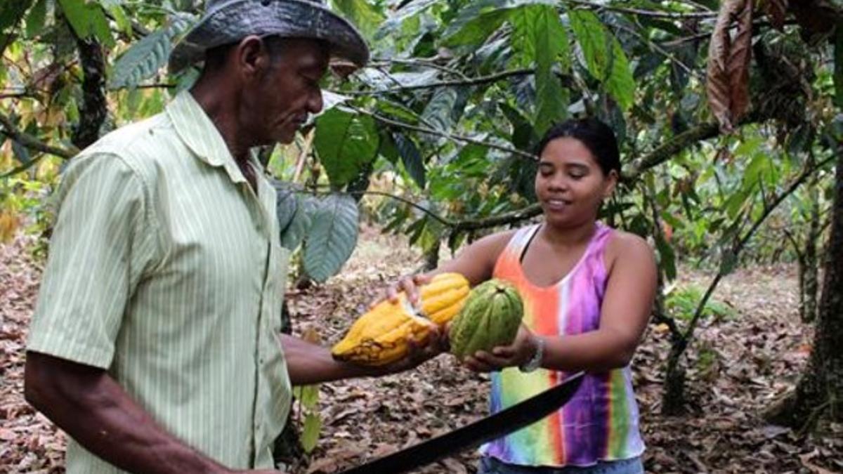 ¿Un mundo sin chocolate?