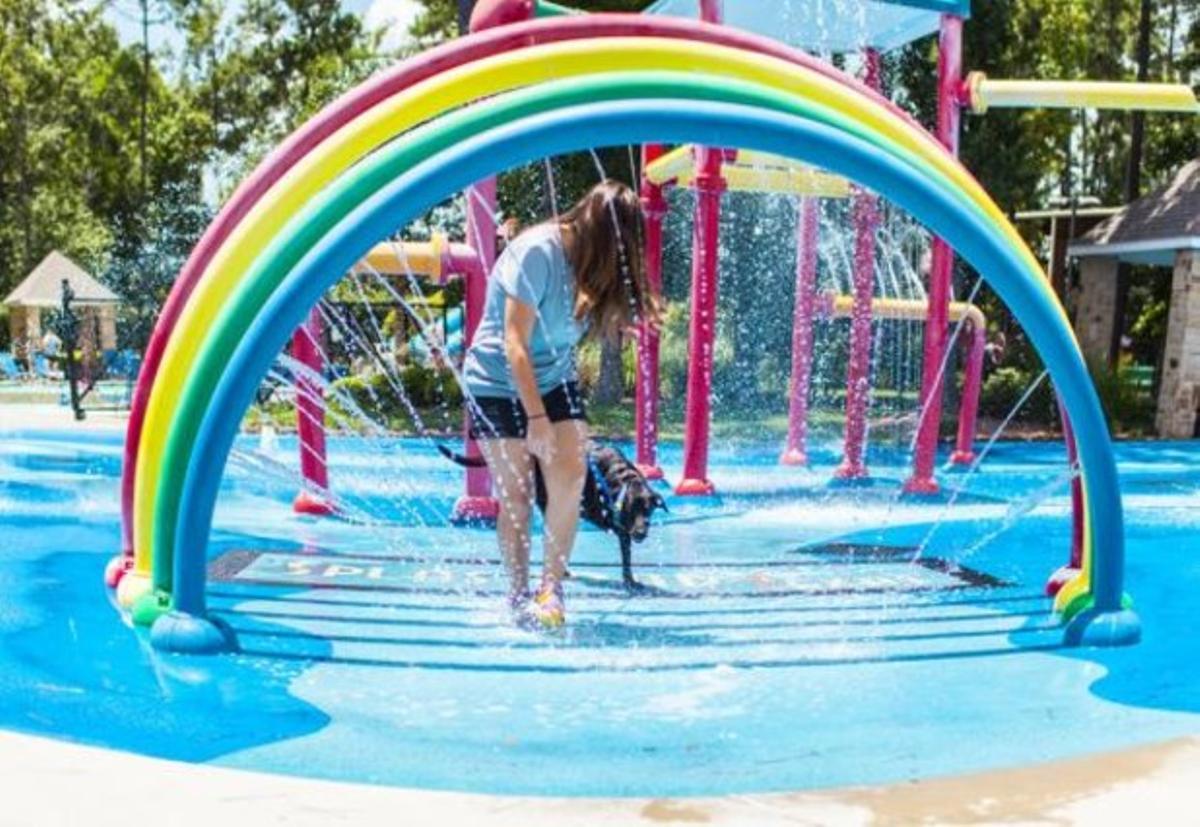 Duke, disfrutant d’un parc aquàtic.