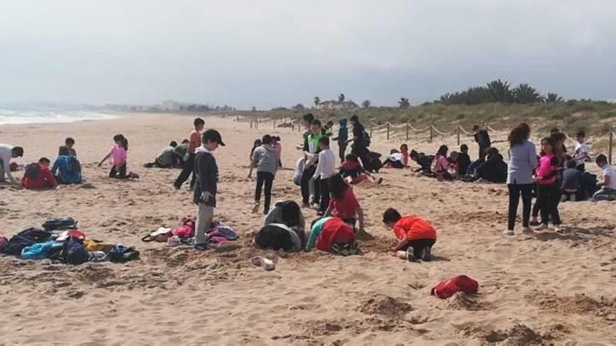 Los diferentes grupos durante la recogida de plásticos.