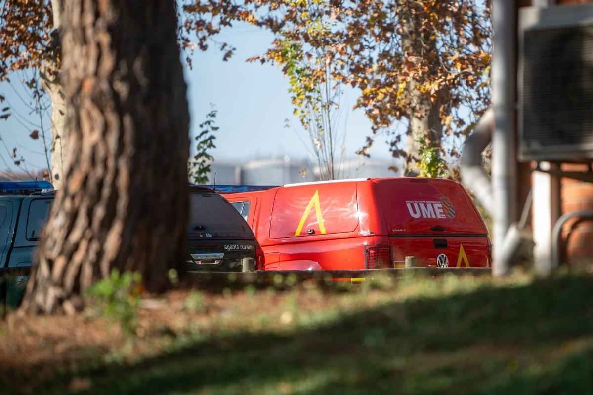La UME se despliega para contener el brote de peste porcina