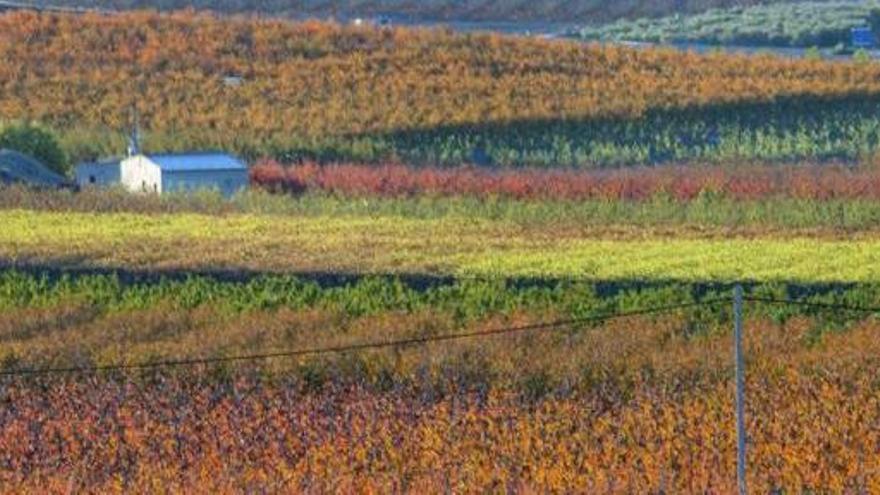 El Paseo Ribereño arde  con los colores del otoño