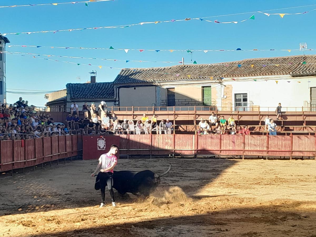 GALERÍA | Exhibición de cortes, quiebros y saltos en Morales de Toro